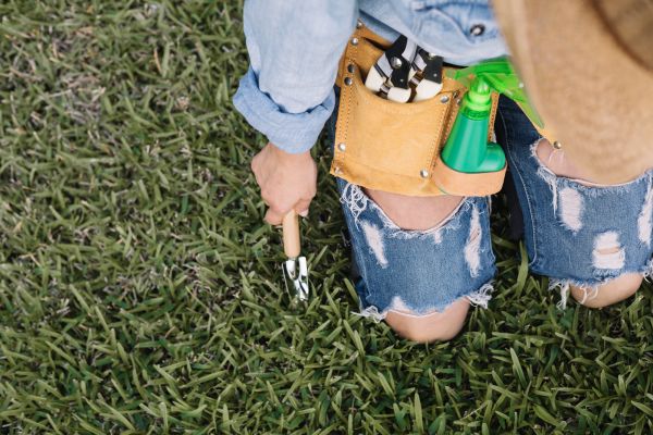 Jardin d'exception : 10 conseils pour un gazon impeccable